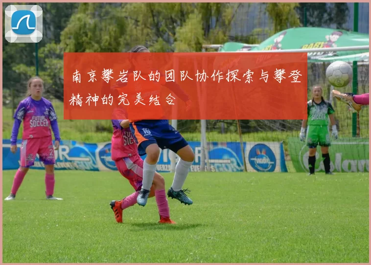 南京攀岩队的团队协作探索与攀登精神的完美结合