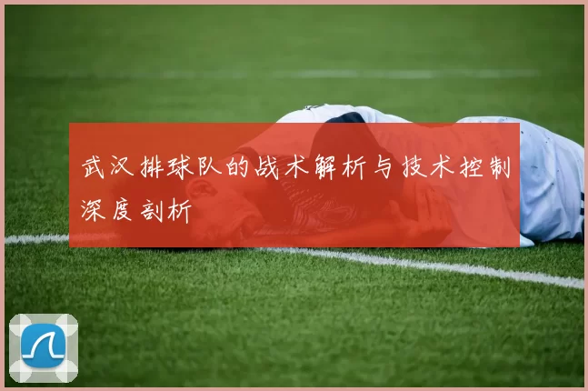 武汉排球队的战术解析与技术控制深度剖析