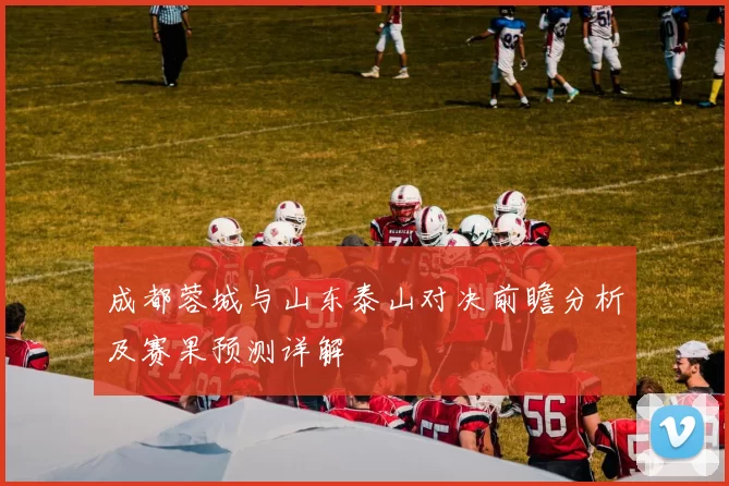 成都蓉城与山东泰山对决前瞻分析及赛果预测详解