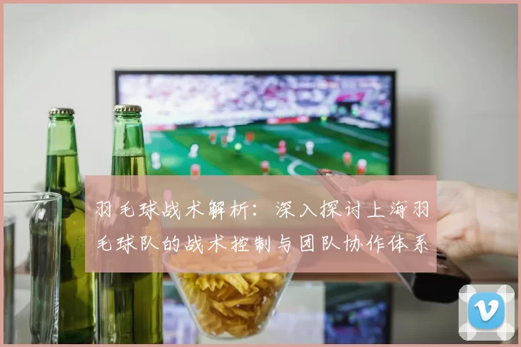 羽毛球战术解析：深入探讨上海羽毛球队的战术控制与团队协作体系