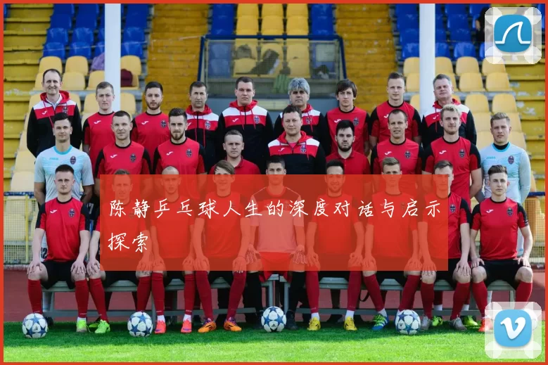 陈静乒乓球人生的深度对话与启示探索