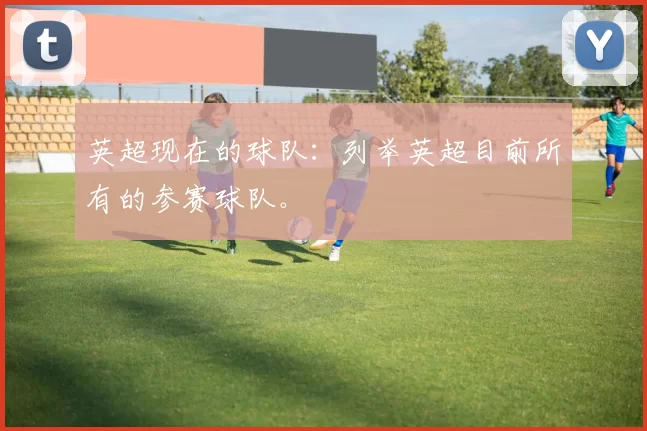 英超现在的球队：列举英超目前所有的参赛球队。