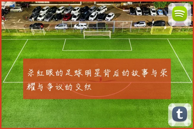 杀红眼的足球明星背后的故事与荣耀与争议的交织