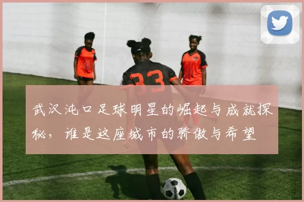 武汉沌口足球明星的崛起与成就探秘，谁是这座城市的骄傲与希望