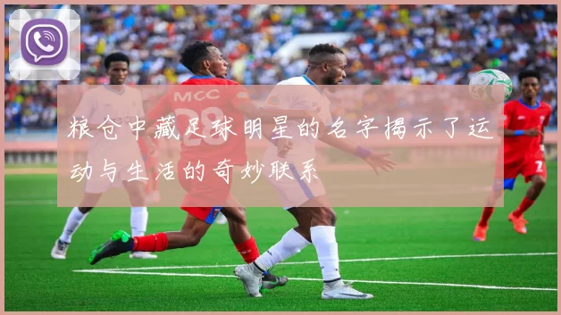 粮仓中藏足球明星的名字揭示了运动与生活的奇妙联系