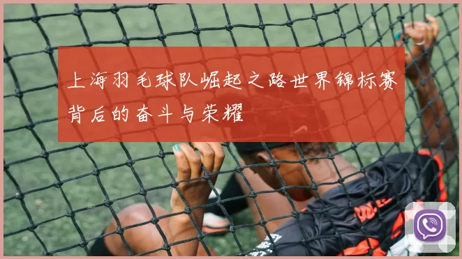 上海羽毛球队崛起之路世界锦标赛背后的奋斗与荣耀