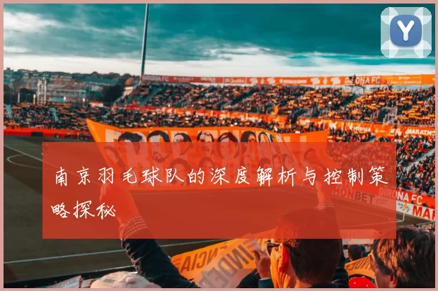 南京羽毛球队的深度解析与控制策略探秘