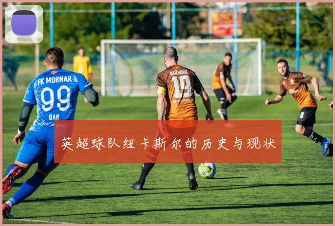 英超球队纽卡斯尔的历史与现状