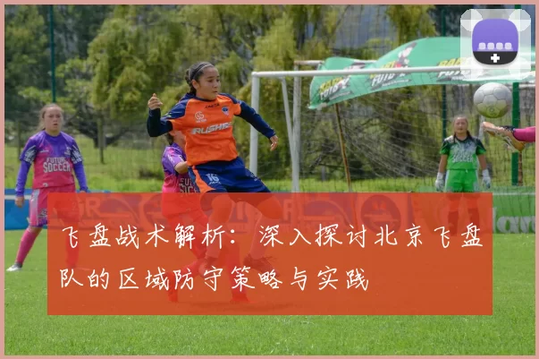 飞盘战术解析：深入探讨北京飞盘队的区域防守策略与实践