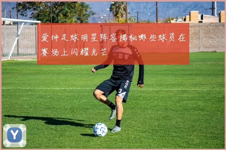爱坤足球明星阵容揭秘哪些球员在赛场上闪耀光芒