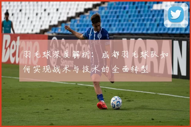 羽毛球深度解析：成都羽毛球队如何实现战术与技术的全面转型