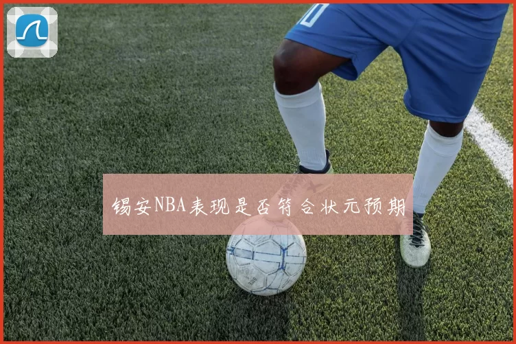 锡安NBA表现是否符合状元预期