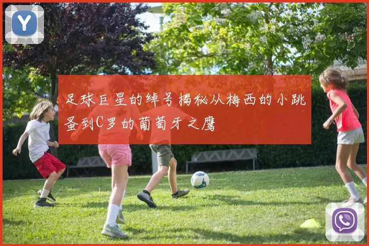 足球巨星的绰号揭秘从梅西的小跳蚤到C罗的葡萄牙之鹰