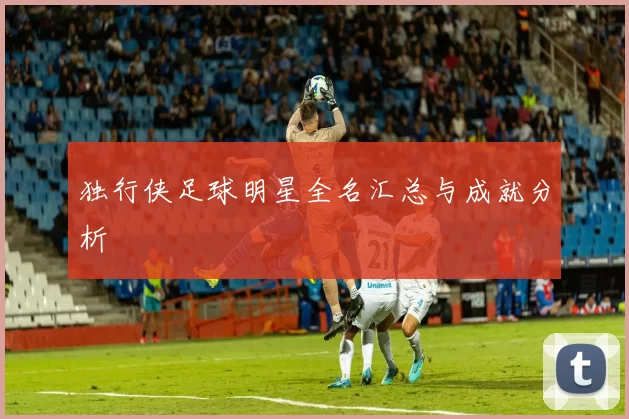 独行侠足球明星全名汇总与成就分析