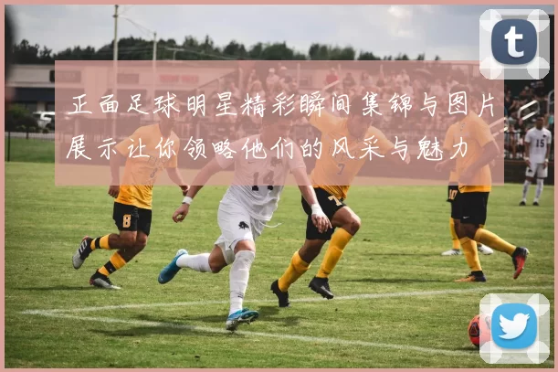 正面足球明星精彩瞬间集锦与图片展示让你领略他们的风采与魅力