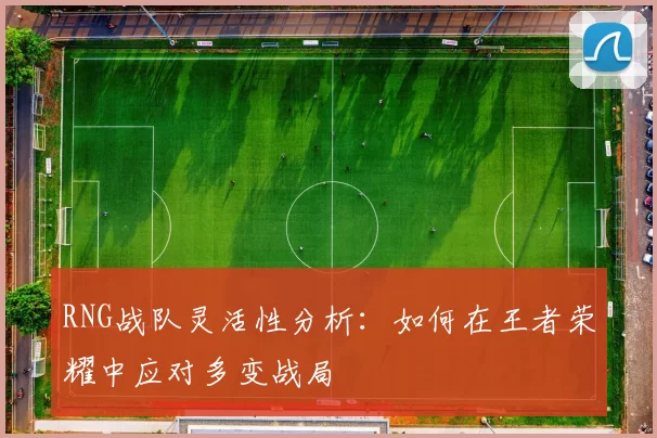 RNG战队灵活性分析：如何在王者荣耀中应对多变战局