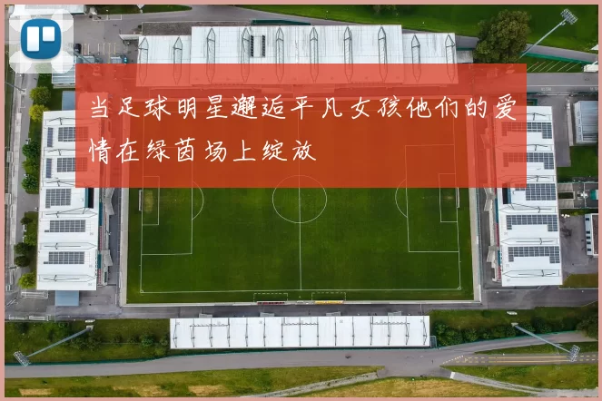 当足球明星邂逅平凡女孩他们的爱情在绿茵场上绽放