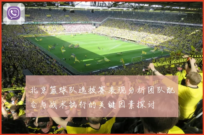 北京篮球队选拔赛表现分析团队配合与战术执行的关键因素探讨