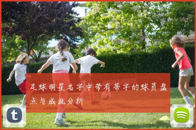 足球明星名字中带有蒂字的球员盘点与成就分析