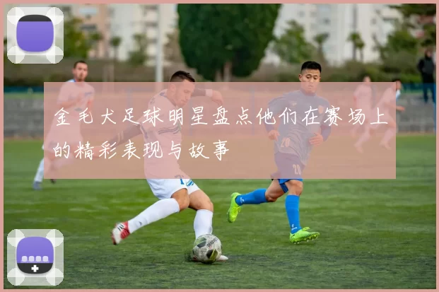 金毛犬足球明星盘点他们在赛场上的精彩表现与故事