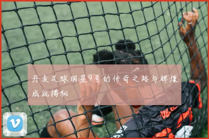 丹麦足球明星9号的传奇之路与辉煌成就揭秘
